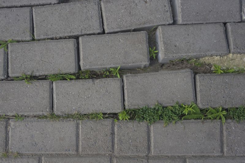 Signs You Need Paver Repair